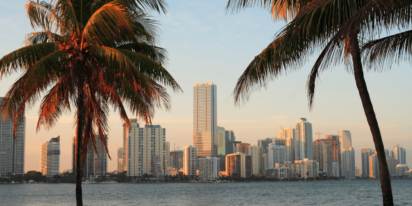 A waterfront skyline framed by palm trees